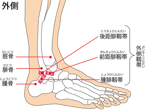 ankle-img1-2